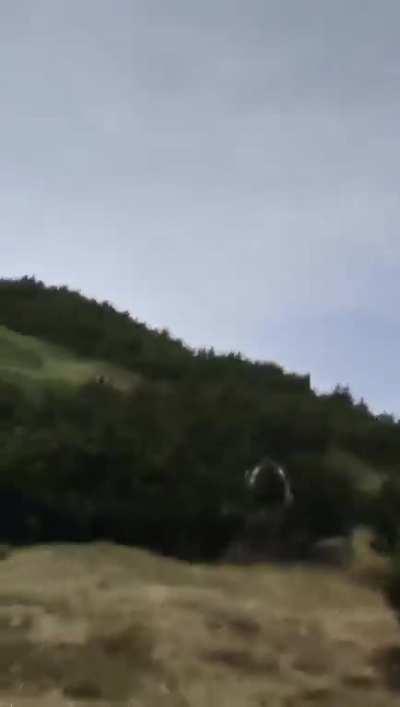 Bear close to little kid on the Brenta mountain chain in the north of Lake Garda above Malga Prà da Giovo (Sporminore)