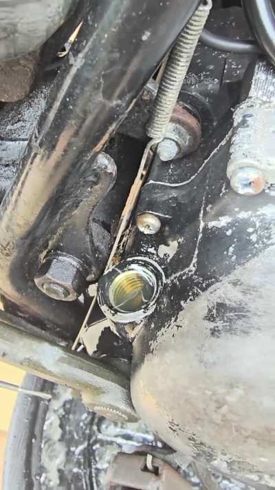 PETROL IN DT100 1980 ENGINE