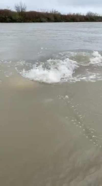 Dark and dusty is the water...