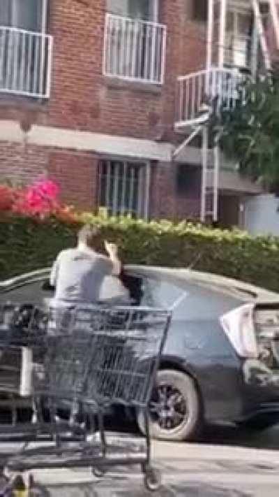 Best security guard ever (wait for it)