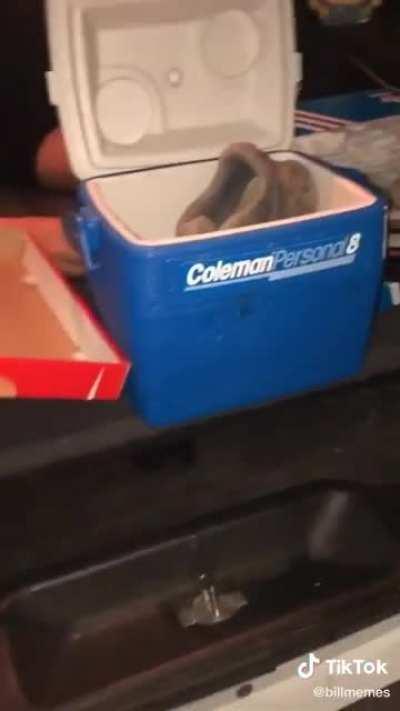 The longer you watch it, the weirder it gets.