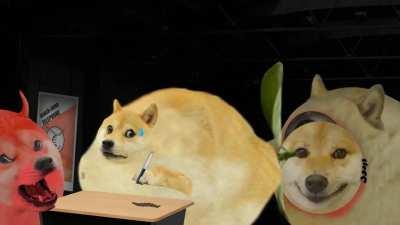 le dubious citruses preform a concert