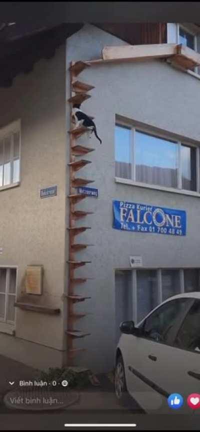 After a stressful duty Fiona climbs her stairs athletically directly to her room.🤣