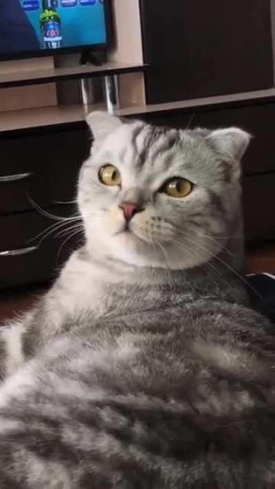 High quality live-action scrunge!