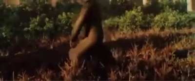 How it feels after only spraying 30 shot shells into a chimera’s face instead of 40