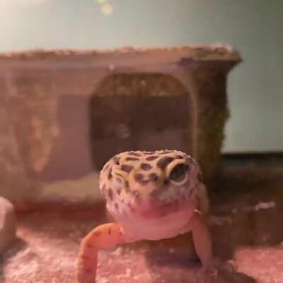 Kirby gettin’ fresh