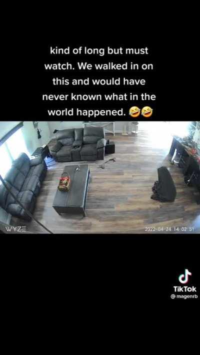 The resignation at the end is what got me