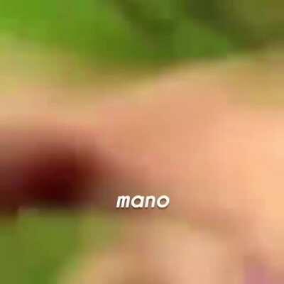 Cachorro diferente esse ein