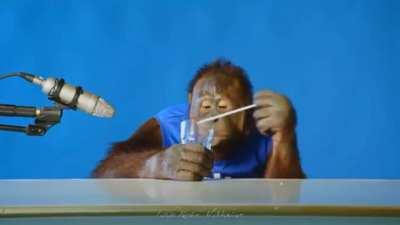 Oranatun ASMR [WARNING, VERY SERIOUS]