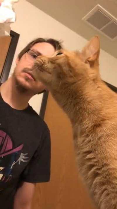 No trespassers on Archie's watch