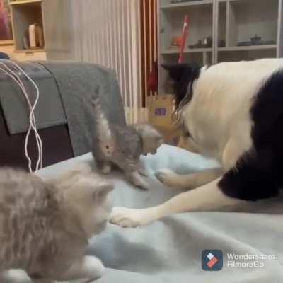 Don't scare the kids you punk!