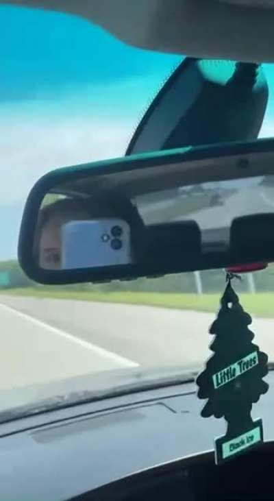 A friend caught an Idiot in the wild