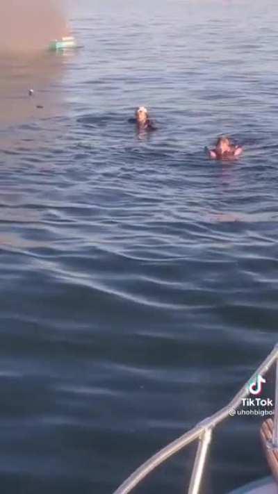 it’s what they deserve