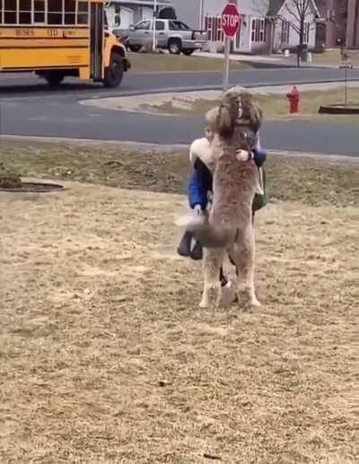 The most beautiful encounter ❤