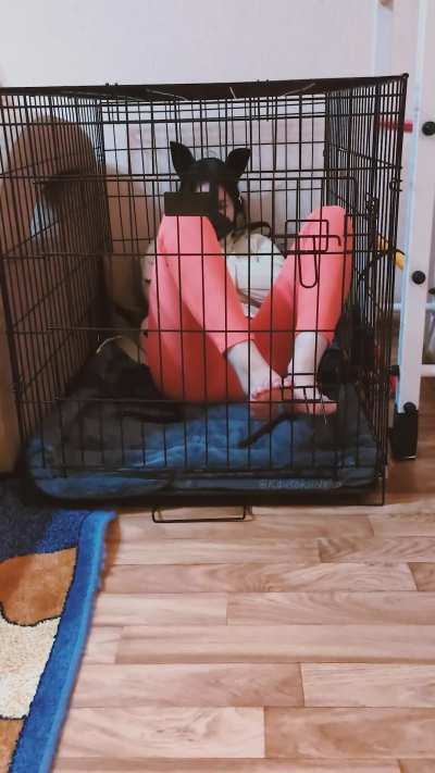 Opening the cage with my feet wasn’t the hard part. Staying on my feet? Not so much [OC]