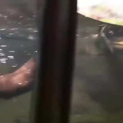 🔥 A mother otter teaching its pup how to swim