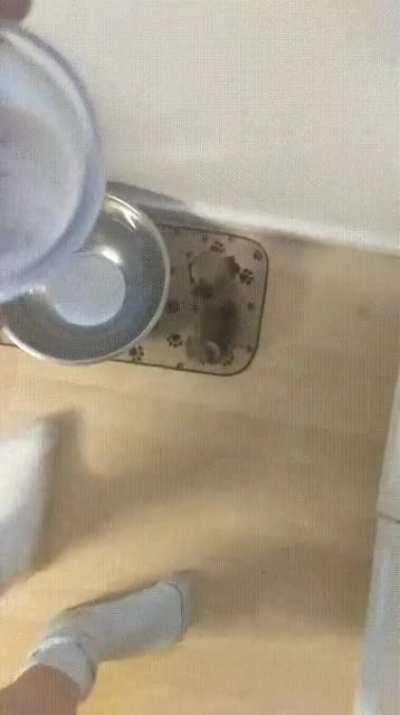 So smol, so is excited