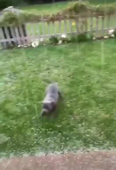 What are these magical balls falling from the sky?