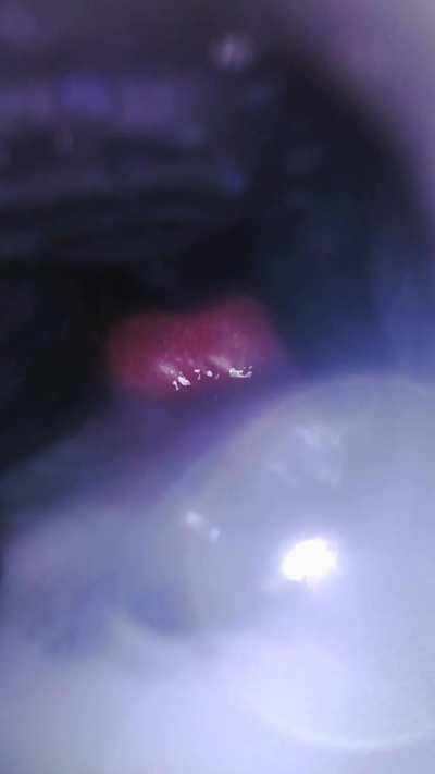 My biggest load ever