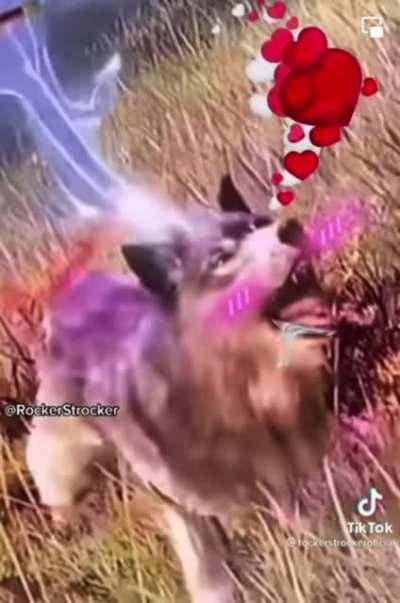 Busty wolf gets slapped on the ass by 6 legged jellyfish.