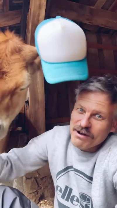 Look at me. I am the farmer now. (X-post from r/gifs)