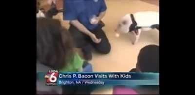 The guy who thought of this is a legend