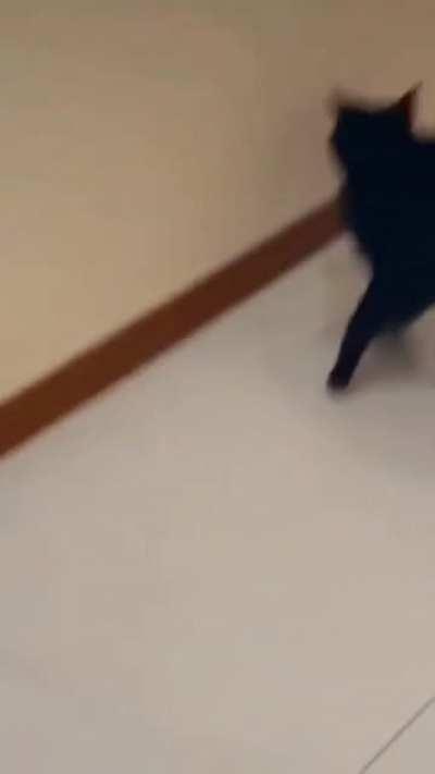 where did Jerry go ?