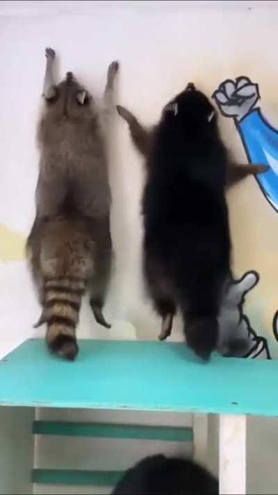 Just vibing with a friend