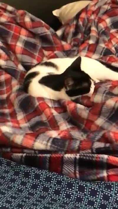 Saw this in my Snapchat memories from 3 years ago today