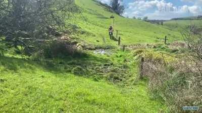 HMB while i try and jump over a puddle