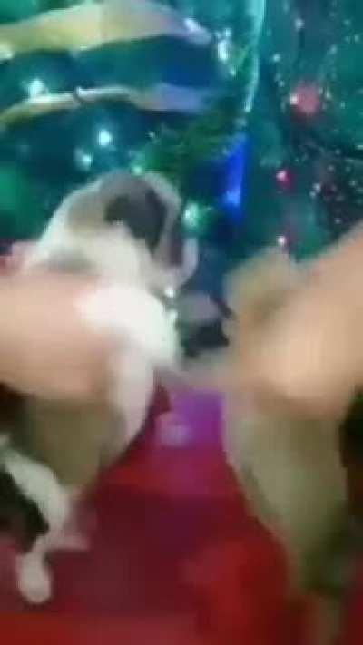 Juego que consideren sobrevalorado el que ponga fnf lo meo