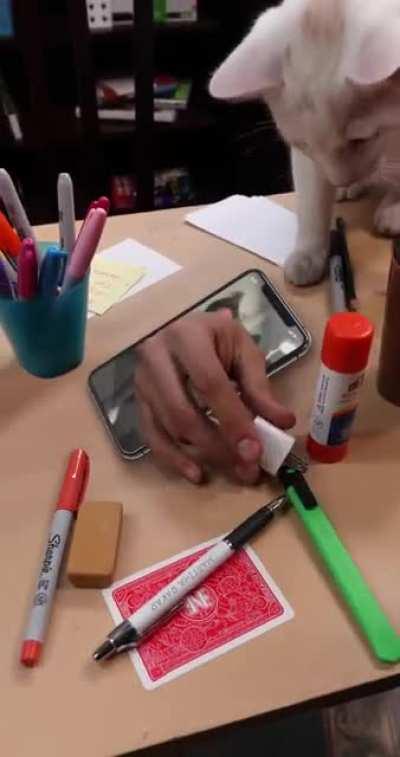 Transitions are so clean