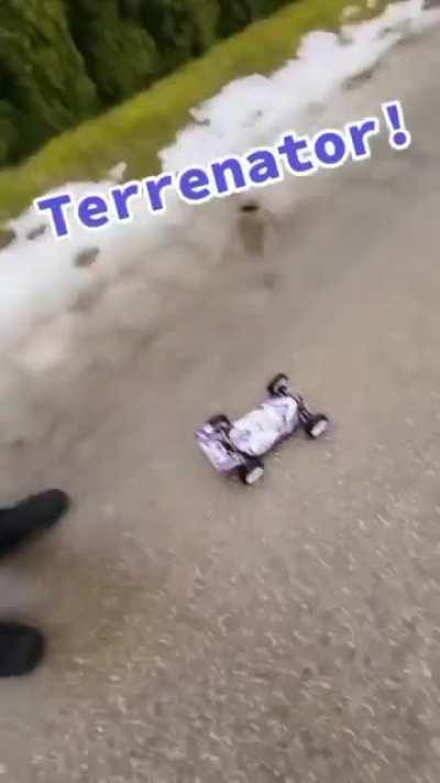 Tiene todo lo que un hombre puede pedir