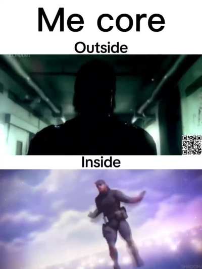 MetalGearSolidmemes - Video #4834