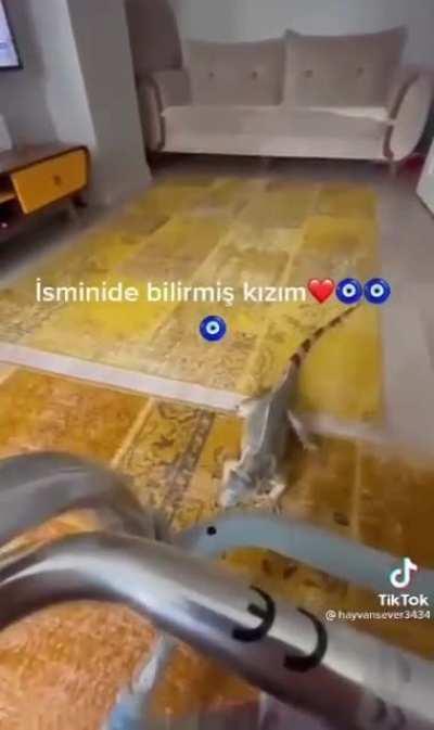 Umarım sesi vardır yoksa silicem 😞