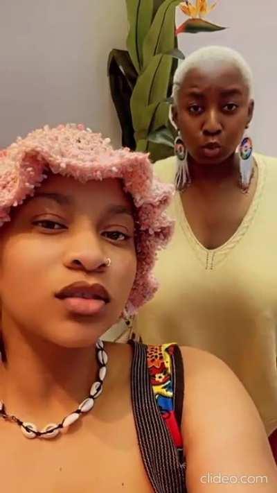 not much, but beautiful 😻