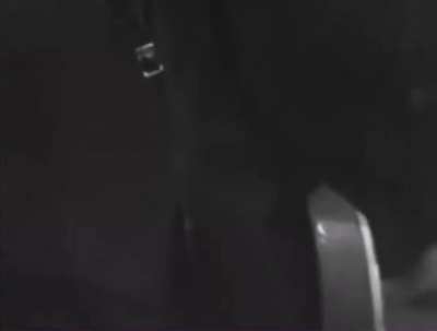 Blondie Does T. Rex