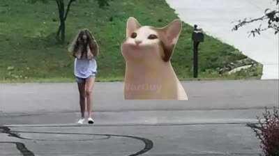 Pop cat interrupts trumpet boy to sing achy breaky heart by Billy Ray Cyrus