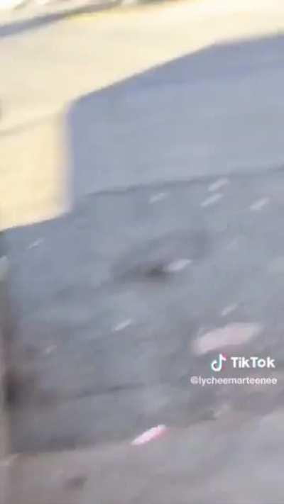 black woman falsely accuses Asian woman of being racist while screaming at her to “go eat a dog with rice”