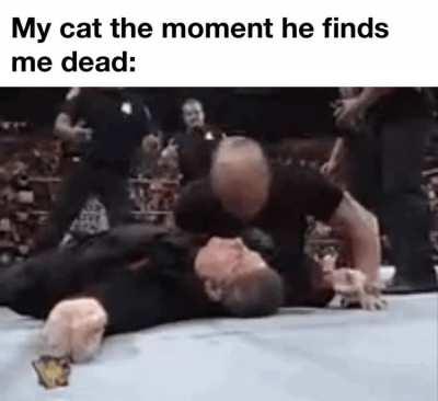 closed casket funeral