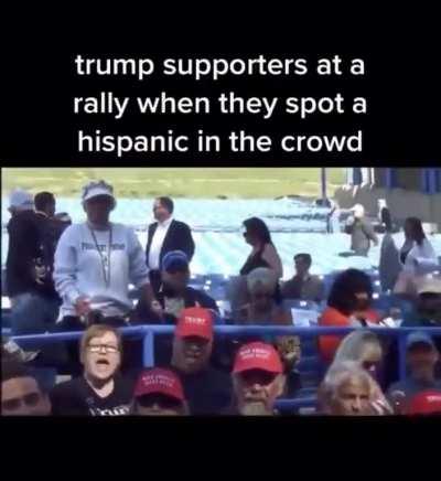 KK-Karens at Trump Rally