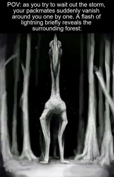 The canopy is breathing