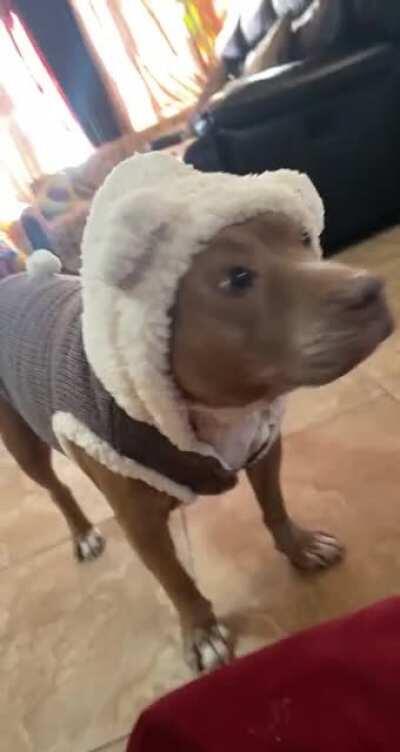 Excited to get going to the foods. My little bear❤️