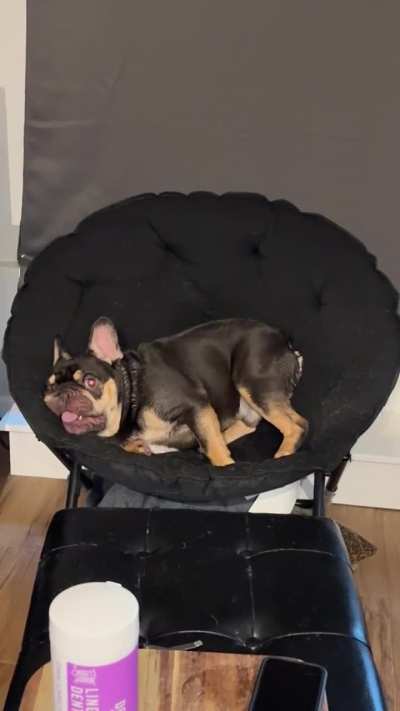 Freedom after his bath