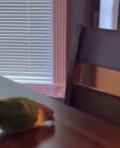 Tap tap tap tap tap tap tap