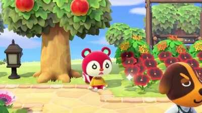 Poppy wakes up from a nap