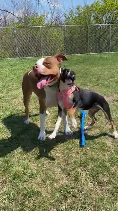 Hi! Wanna play?! Ur cute! I’m down here!