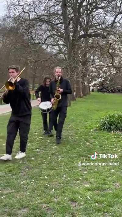 Discount pink panther