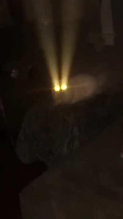 Дальний свет