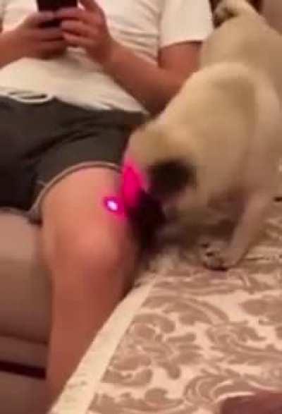 The pain we were about to hear in his scream…